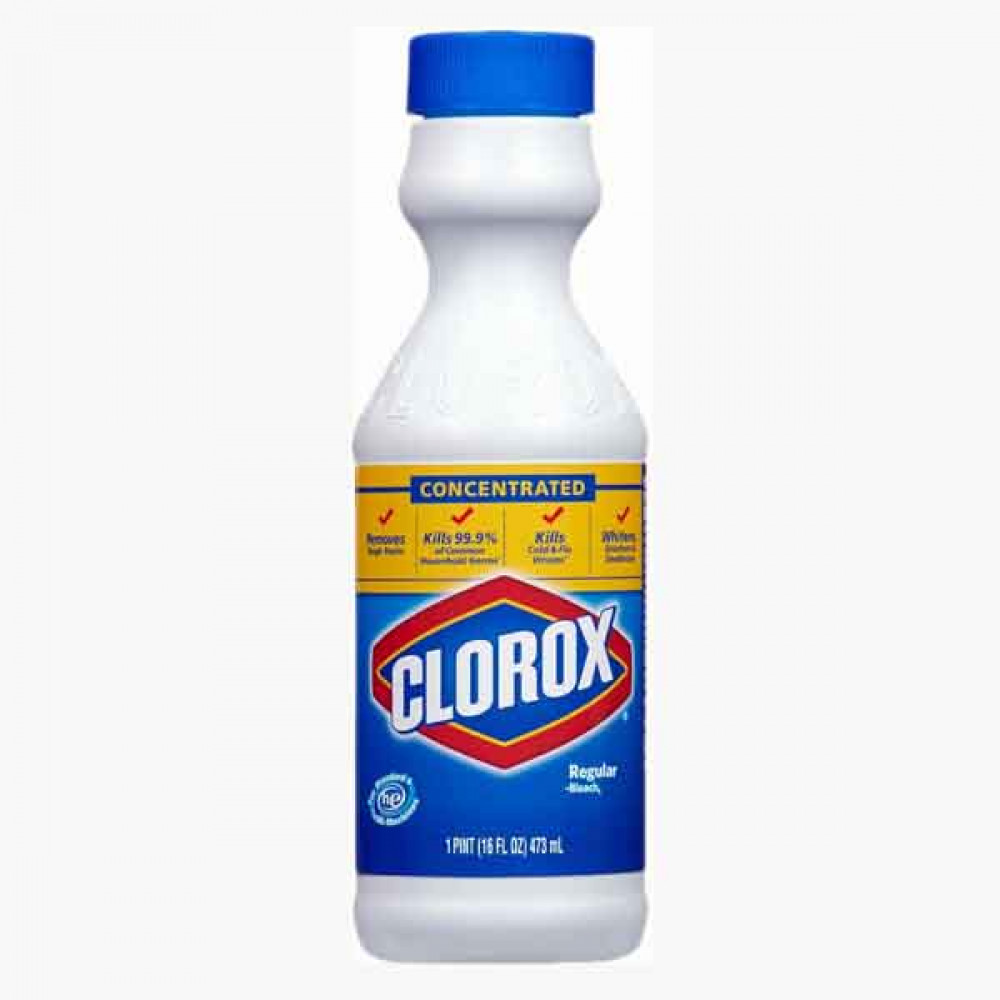 CLOROX REGULAR PINT 473 ML 0