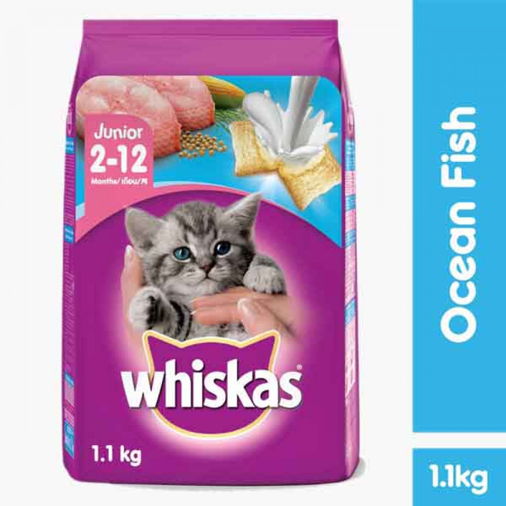 WHISKAS JUNIOR OCEAN FISH WITH MILK 1.1 KG ويسكاس جونيور  اكل قطط سمك المحيط بالحليب