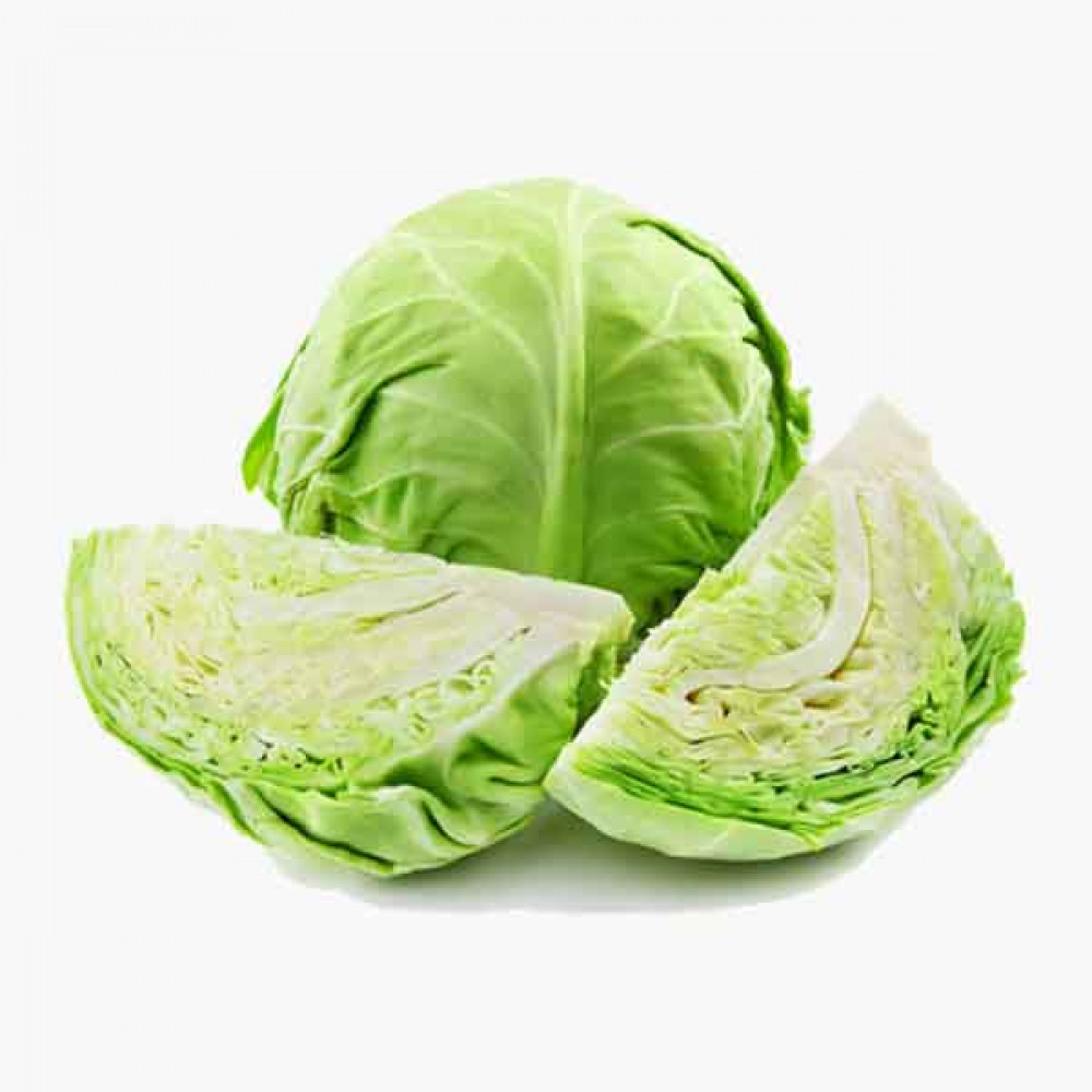 CABBAGE WHITE ملفوف ابيض