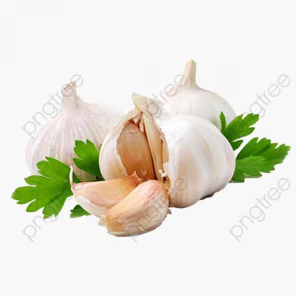 GARLIC LOOSE ثوم