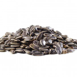 SUNFLOWER SEED ROASTED حبوب دوار الشمس