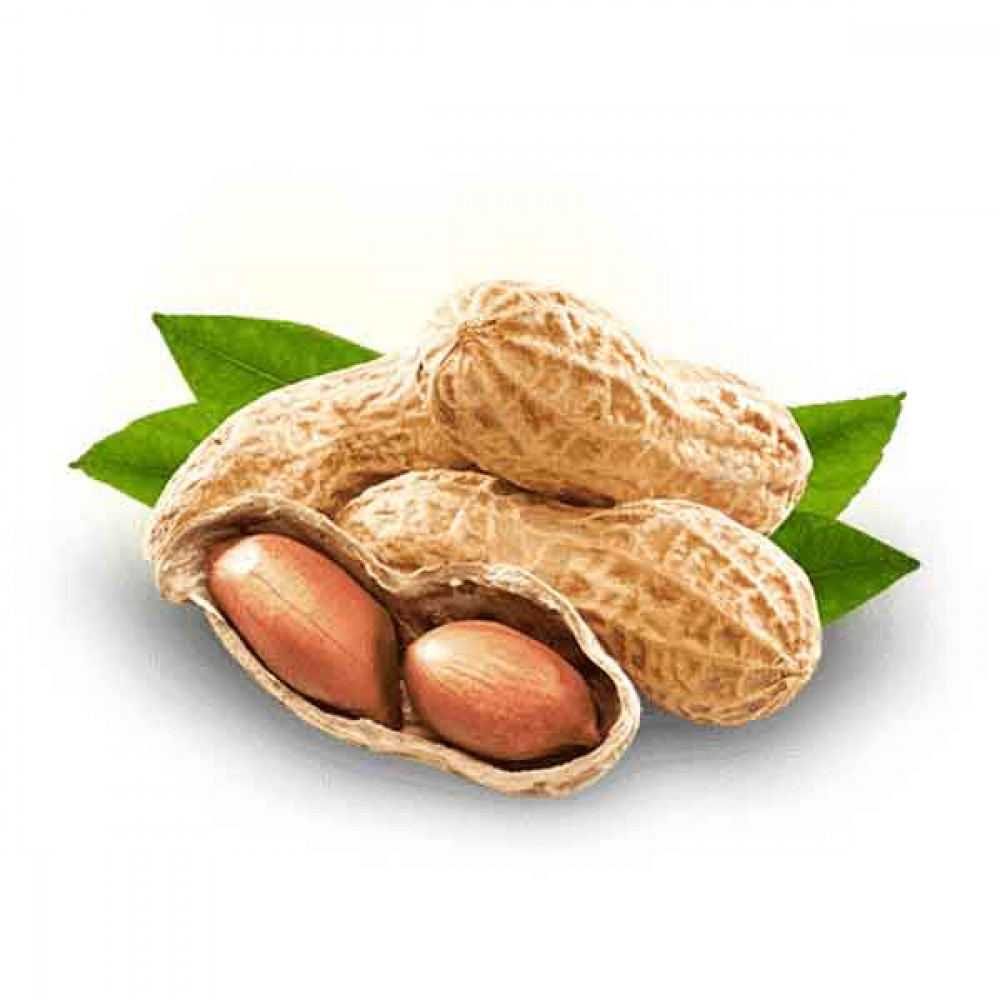 PEANUT فول سوداني