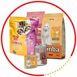 Pet Needs & Care