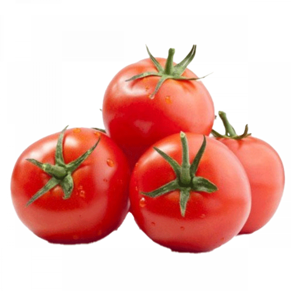 TOMATO INDIA