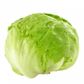 ICEBERG LETTUCE